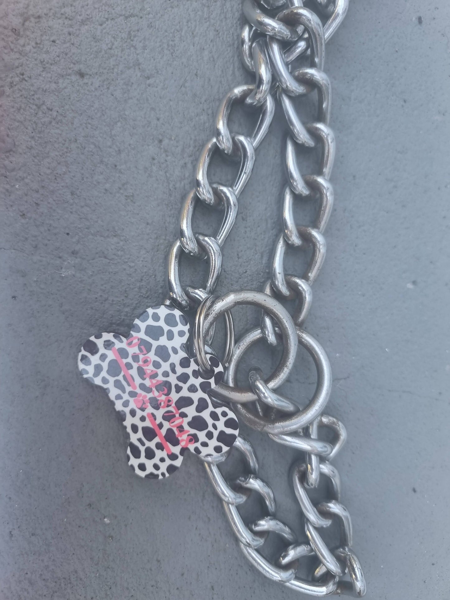 Pet tag, ID tag, name tag, contact details.. bone shape spotty Dog
