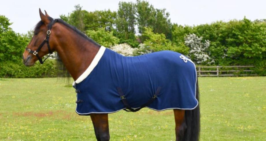 Personalised equestrian Show fleece cooler Embroidered- horse rug show name stable rug travel