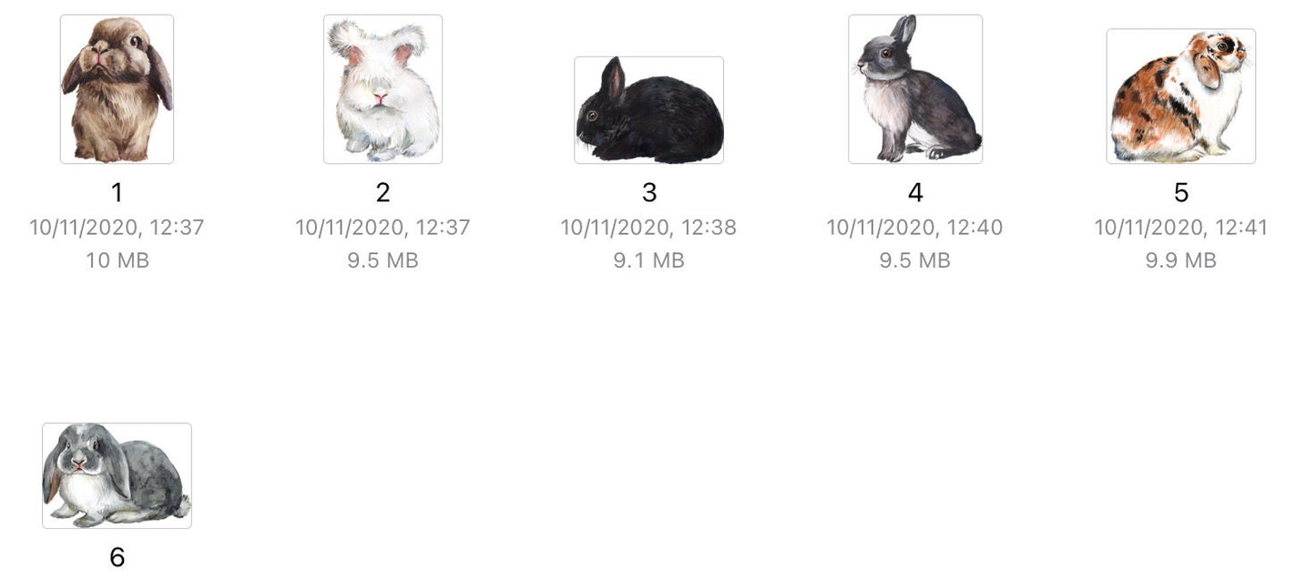 Personlised Bun mum mug - crazy bunny lady, pet mug, rabbit mug... Pick your bunnies birthday Gift