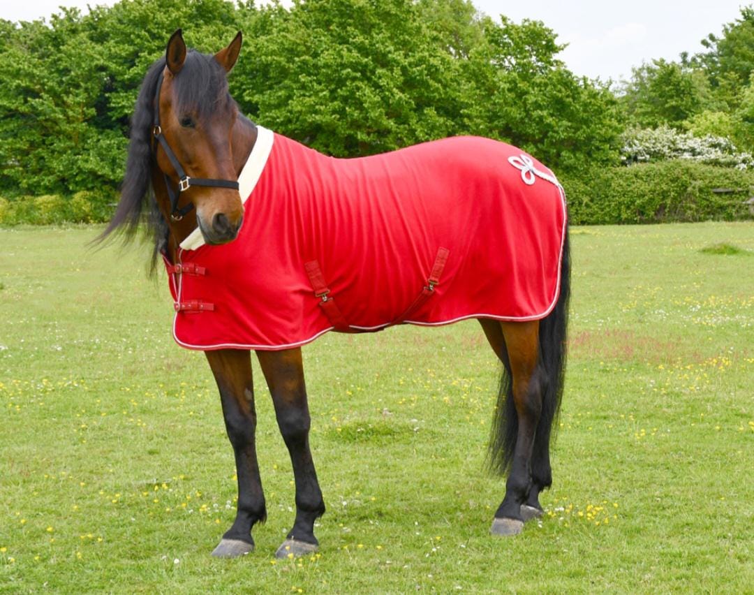 Personalised equestrian Show fleece cooler Embroidered- horse rug show name stable rug travel