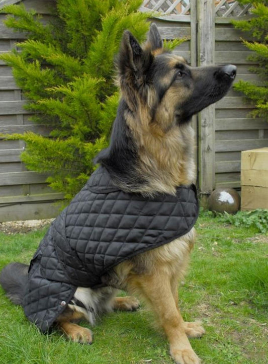 Quilted Dog Jacket