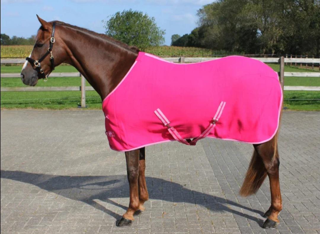 Personalised equestrian Show fleece cooler Embroidered- horse rug show name stable rug travel - pink fleece