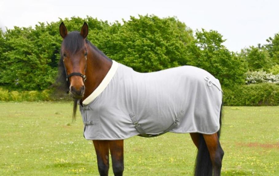 Personalised equestrian Show fleece cooler Embroidered- horse rug show name stable rug travel